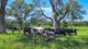 Photo - 3201 Wallanbah Road, Dyers Crossing NSW 2429 - Image 3