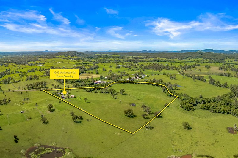 Photo - 3201 Wallanbah Road, Dyers Crossing NSW 2429 - Image 11