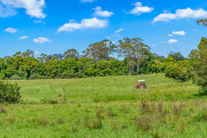 Photo - 3201 Wallanbah Road, Dyers Crossing NSW 2429 - Image 34