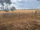 Photo - 321 Lightbody Road, Mardella WA 6125 - Image 11