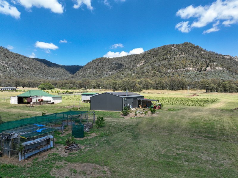 Photo - 321 Milbrodale Road, Broke NSW 2330 - Image 21