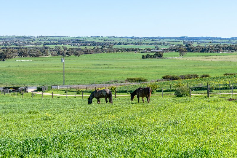 Photo - 321 Nine Mile Road, Strathalbyn SA 5255 - Image 28