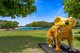 Photo - 3/211 Jefferson Lane, Palm Beach QLD 4221 - Image 31