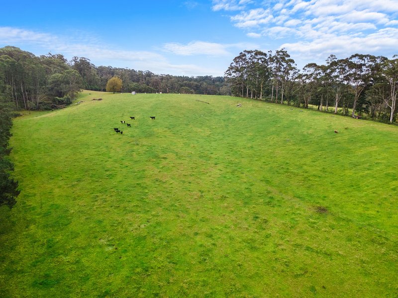 Photo - 3217 Bells Line Of Road, Bilpin NSW 2758 - Image 14