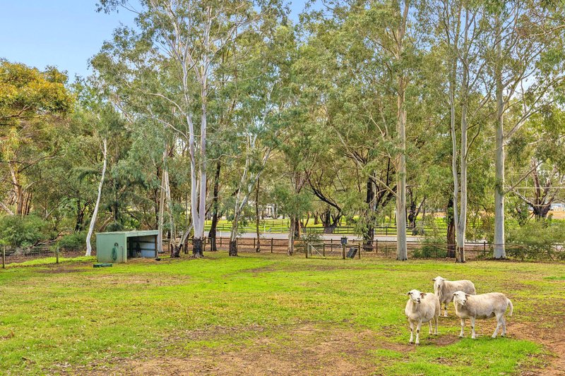 Photo - 322 Cathedral Avenue, Brigadoon WA 6069 - Image 7