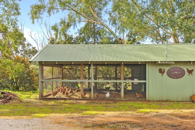 Photo - 322 Cathedral Avenue, Brigadoon WA 6069 - Image 29