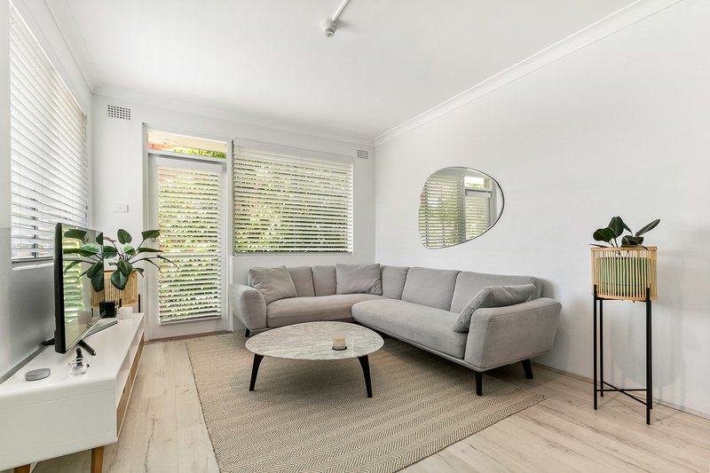 Photo - 3/22 Chandos Street, Ashfield NSW 2131 - Image 1