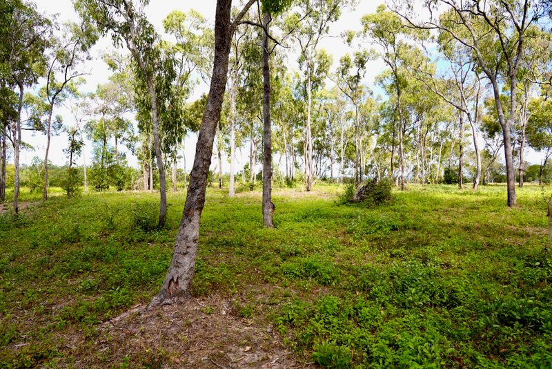 Photo - 322 Greenhill Road, Ilbilbie QLD 4738 - Image 21