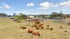 Photo - 322 Watters Road, Rushforth NSW 2460 - Image 29