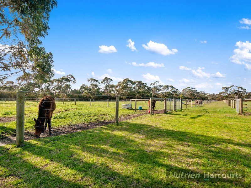 Photo - 322 Yarram Port Albert Road, Langsborough VIC 3971 - Image 20