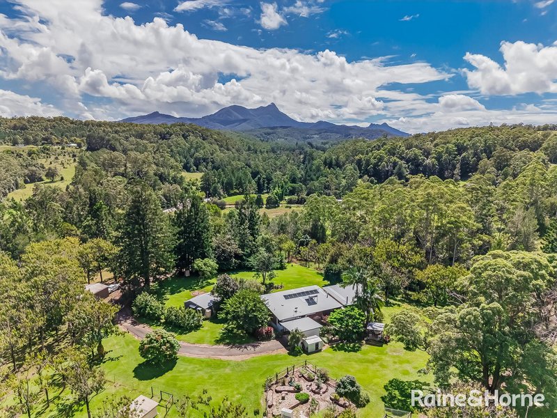 Photo - 3221 Kyogle Road, Mount Burrell NSW 2484 - Image 3
