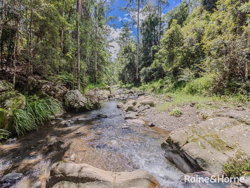 Photo - 3221 Kyogle Road, Mount Burrell NSW 2484 - Image 28