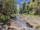 Photo - 3221 Kyogle Road, Mount Burrell NSW 2484 - Image 28