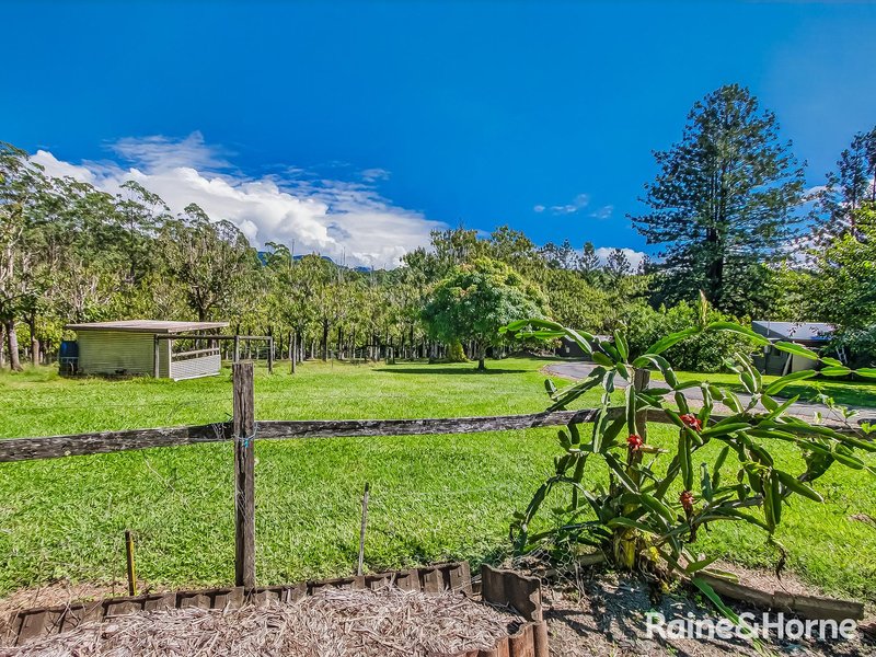 Photo - 3221 Kyogle Road, Mount Burrell NSW 2484 - Image 29