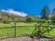 Photo - 3221 Kyogle Road, Mount Burrell NSW 2484 - Image 29