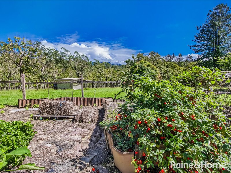 Photo - 3221 Kyogle Road, Mount Burrell NSW 2484 - Image 30