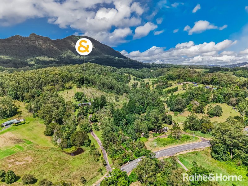 Photo - 3221 Kyogle Road, Mount Burrell NSW 2484 - Image 31