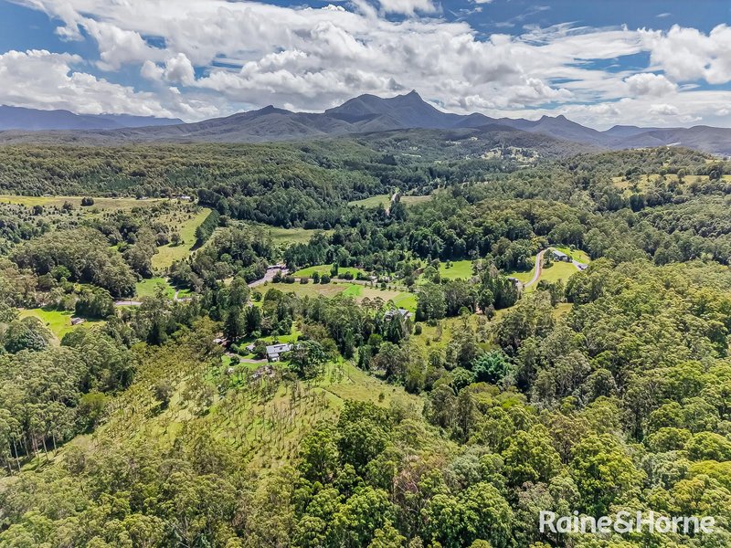 Photo - 3221 Kyogle Road, Mount Burrell NSW 2484 - Image 32