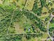 Photo - 3221 Kyogle Road, Mount Burrell NSW 2484 - Image 33