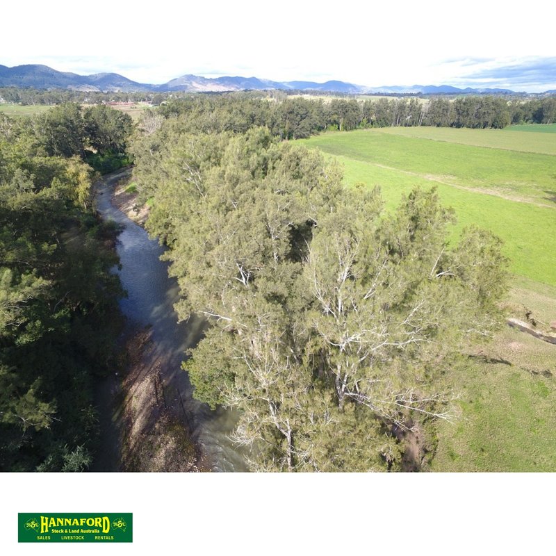 Photo - 323 Bucketts Road, Gloucester NSW 2422 - Image 5