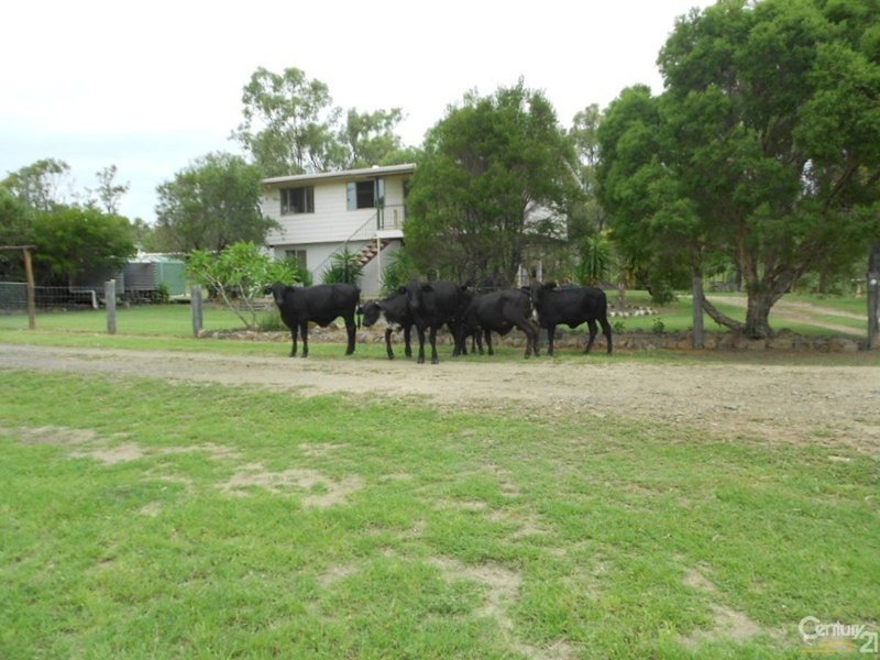 Photo - 323 E Williams Road, Kabra QLD 4702 - Image 10