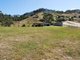 Photo - 323 Old Coast Road, Korora NSW 2450 - Image 3