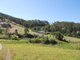 Photo - 323 Old Coast Road, Korora NSW 2450 - Image 6