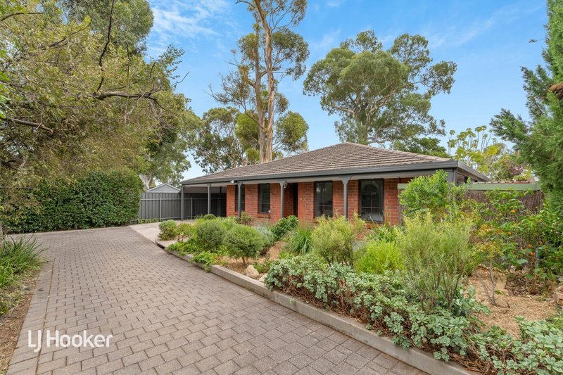 3/23 Orange Grove, Kensington Park SA 5068