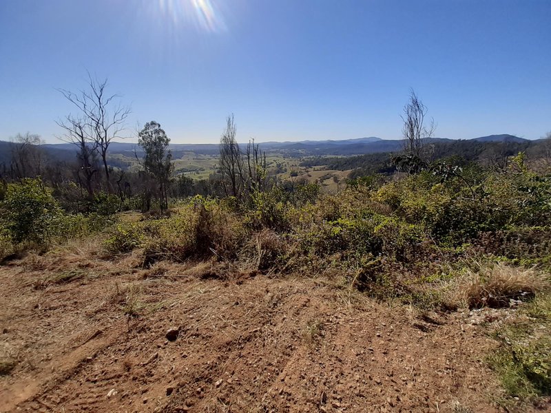 323 Whip Mountain Road, Yarranbella NSW 2447