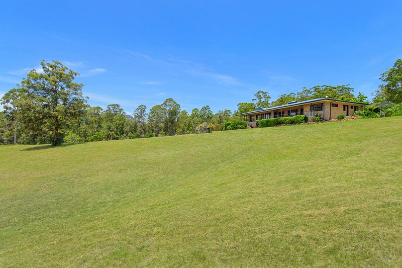 Photo - 3238 Oxley Highway, Wauchope NSW 2446 - Image 17