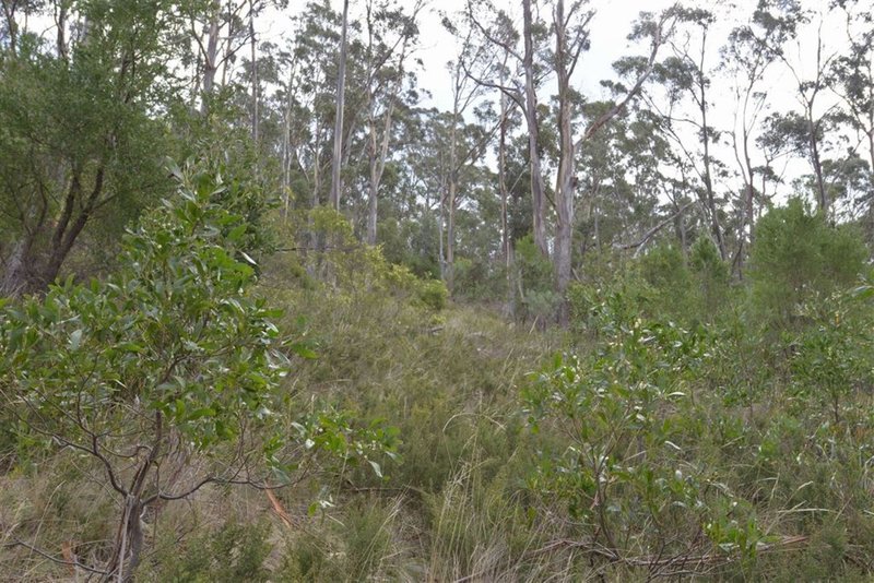 Photo - 323A Tinderbox Road, Tinderbox TAS 7054 - Image 5