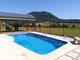 Photo - 324 Doyles Creek Road, Singleton NSW 2330 - Image 14