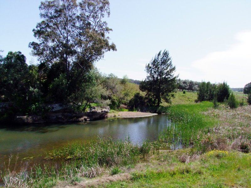 Photo - 324 Doyles Creek Road, Singleton NSW 2330 - Image 17