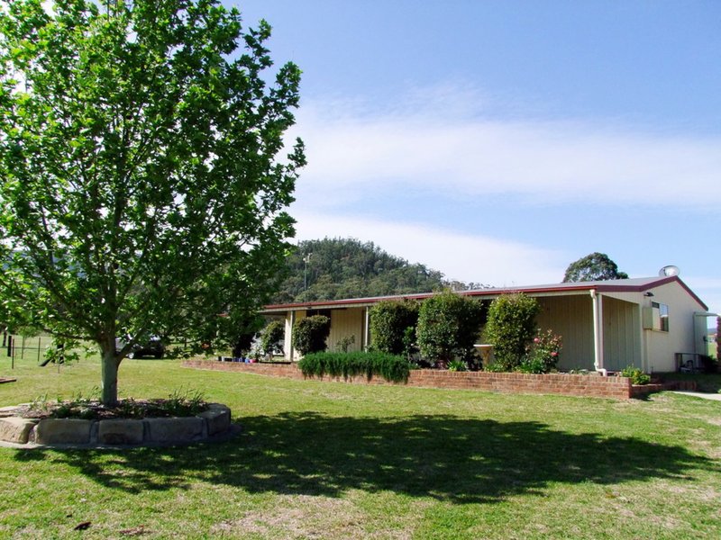 Photo - 324 Doyles Creek Road, Singleton NSW 2330 - Image 20