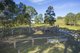 Photo - 324 Ebsworth Fire Trail Road, Clarence Town NSW 2321 - Image 6