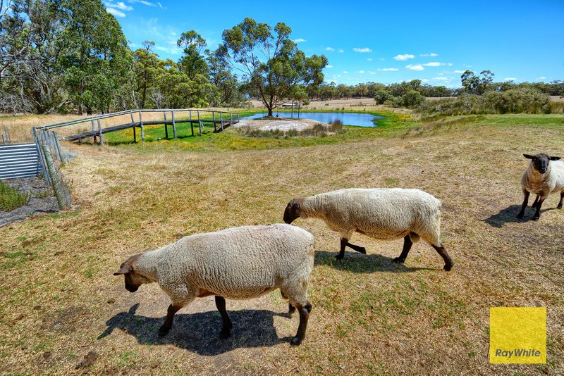 Photo - 324 Porongurup Road, Mount Barker WA 6324 - Image 16