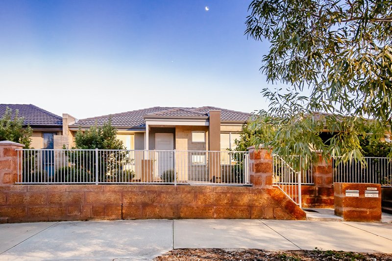 3/24 Porrecta Link, Banksia Grove WA 6031