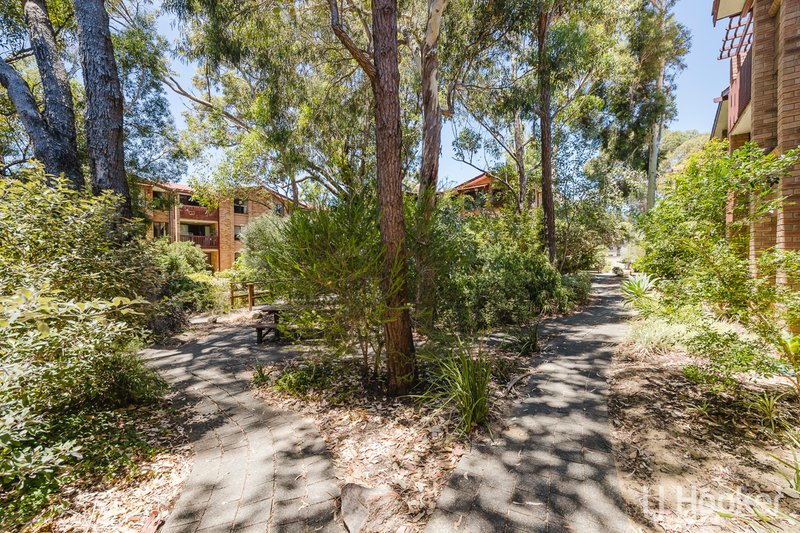 Photo - 32/50 Moondine Drive, Wembley WA 6014 - Image 24