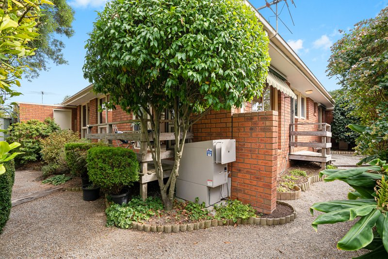 Photo - 3/254 Canterbury Road, Heathmont VIC 3135 - Image 11