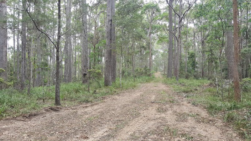 Photo - 327 Kinmond Creek Road, Cootharaba QLD 4565 - Image 3