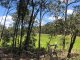 Photo - 327 Kinmond Creek Road, Cootharaba QLD 4565 - Image 6