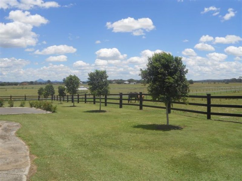 Photo - 3272 Beaudesert Boonah Road, Beaudesert QLD 4285 - Image 15