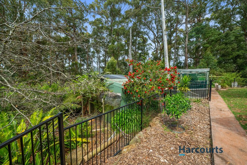 Photo - 328 Sheffield Road, South Spreyton TAS 7310 - Image 30