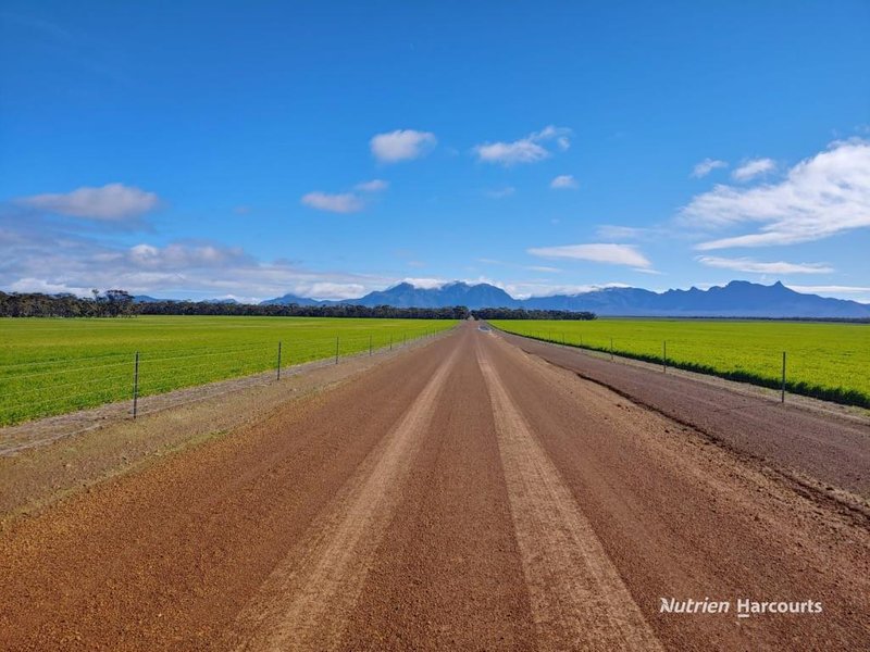 Photo - 3285 Chillinup Road, Kojaneerup South WA 6328 - Image 27