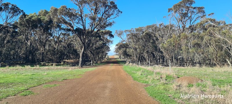 Photo - 3285 Chillinup Road, Kojaneerup South WA 6328 - Image 26