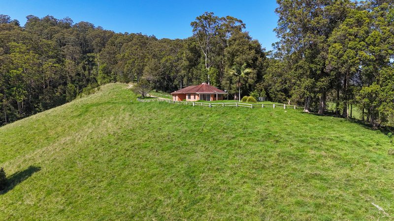 Photo - 329 South Island Loop Road, Upper Orara NSW 2450 - Image 3