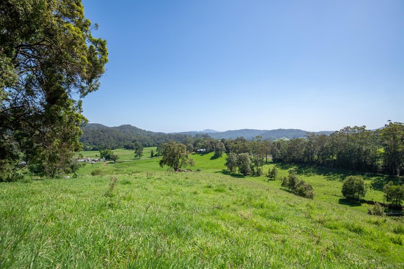 Photo - 329 South Island Loop Road, Upper Orara NSW 2450 - Image 22