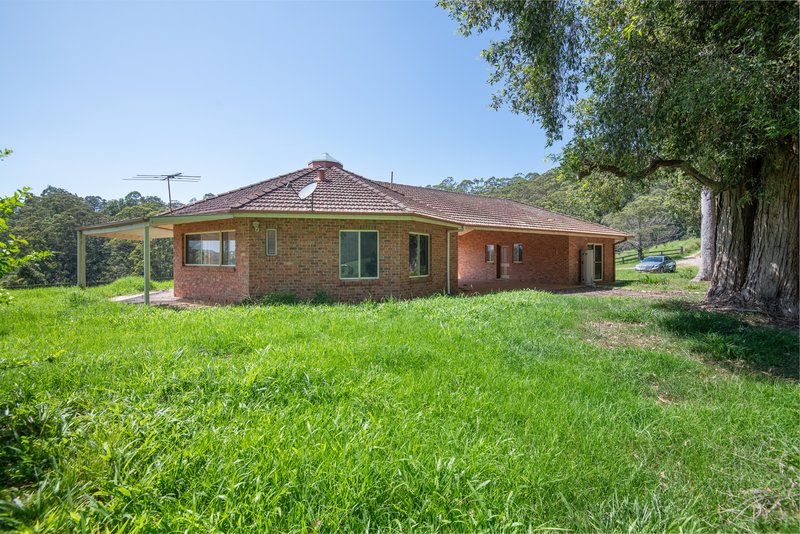 Photo - 329 South Island Loop Road, Upper Orara NSW 2450 - Image 19