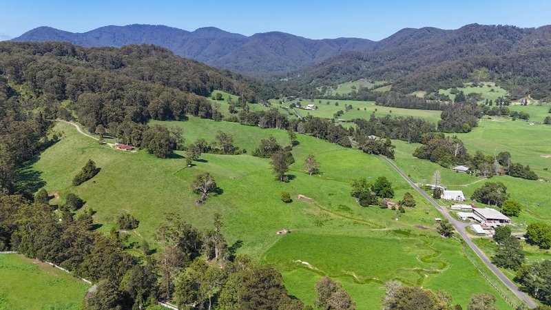 Photo - 329 South Island Loop Road, Upper Orara NSW 2450 - Image 23