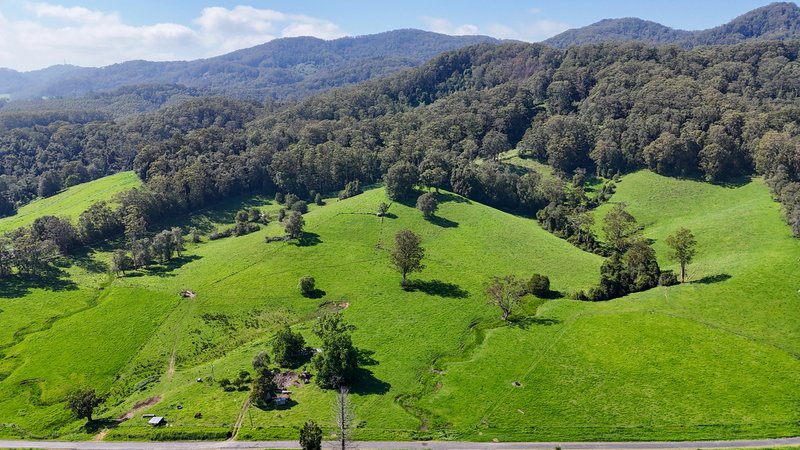 Photo - 329 South Island Loop Road, Upper Orara NSW 2450 - Image 28